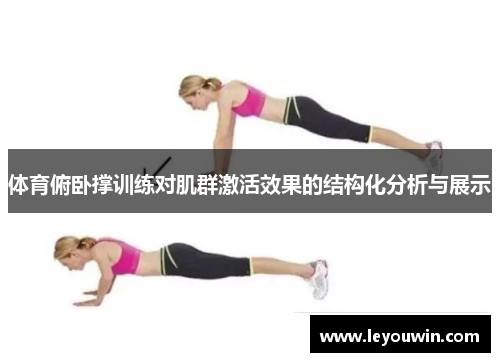 体育俯卧撑训练对肌群激活效果的结构化分析与展示